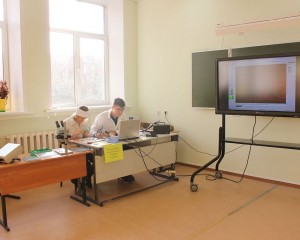 IMG_9037
